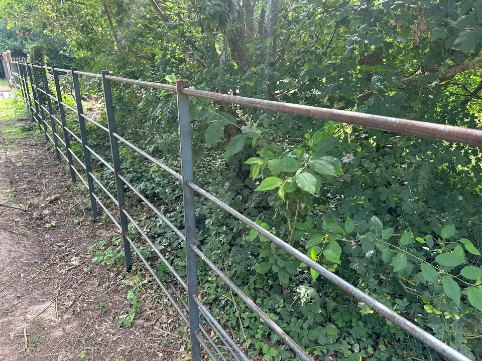 Detail of estate railing standards and round horizontal bars beside a woodland edge