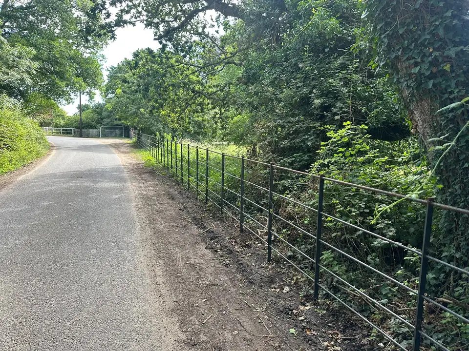Long run of dark estate railing along the verge of a tree-lined country lane