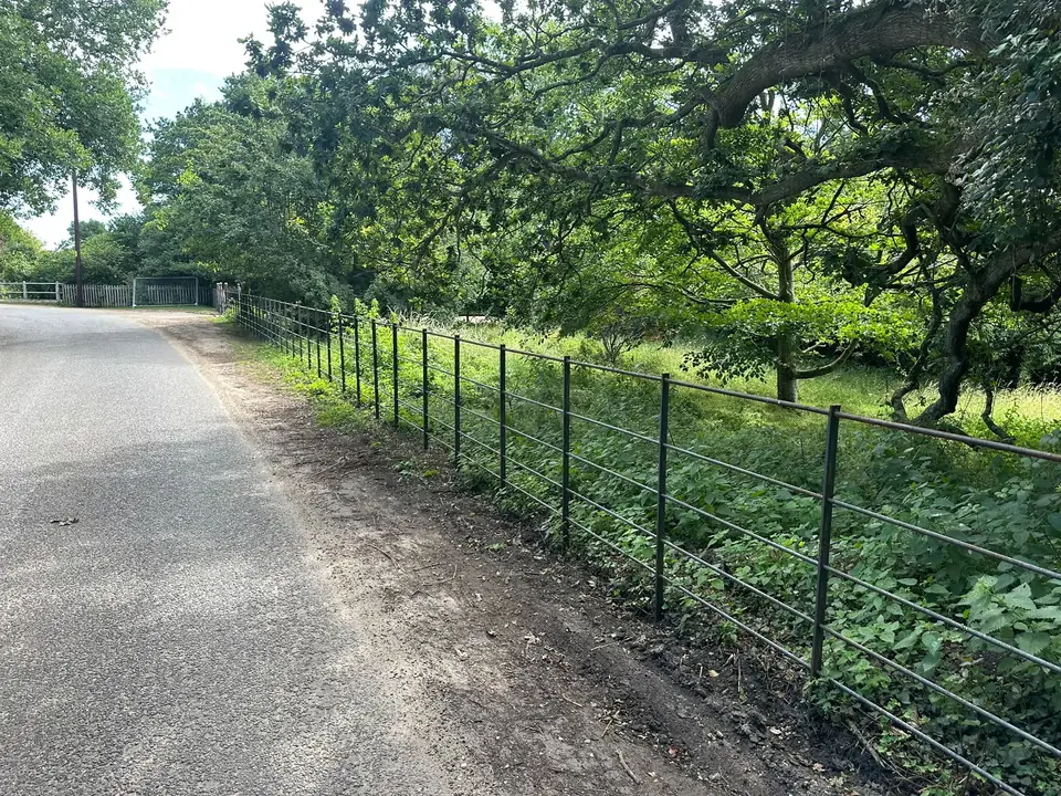 Estate railing running beneath mature oak trees beside a rural lane