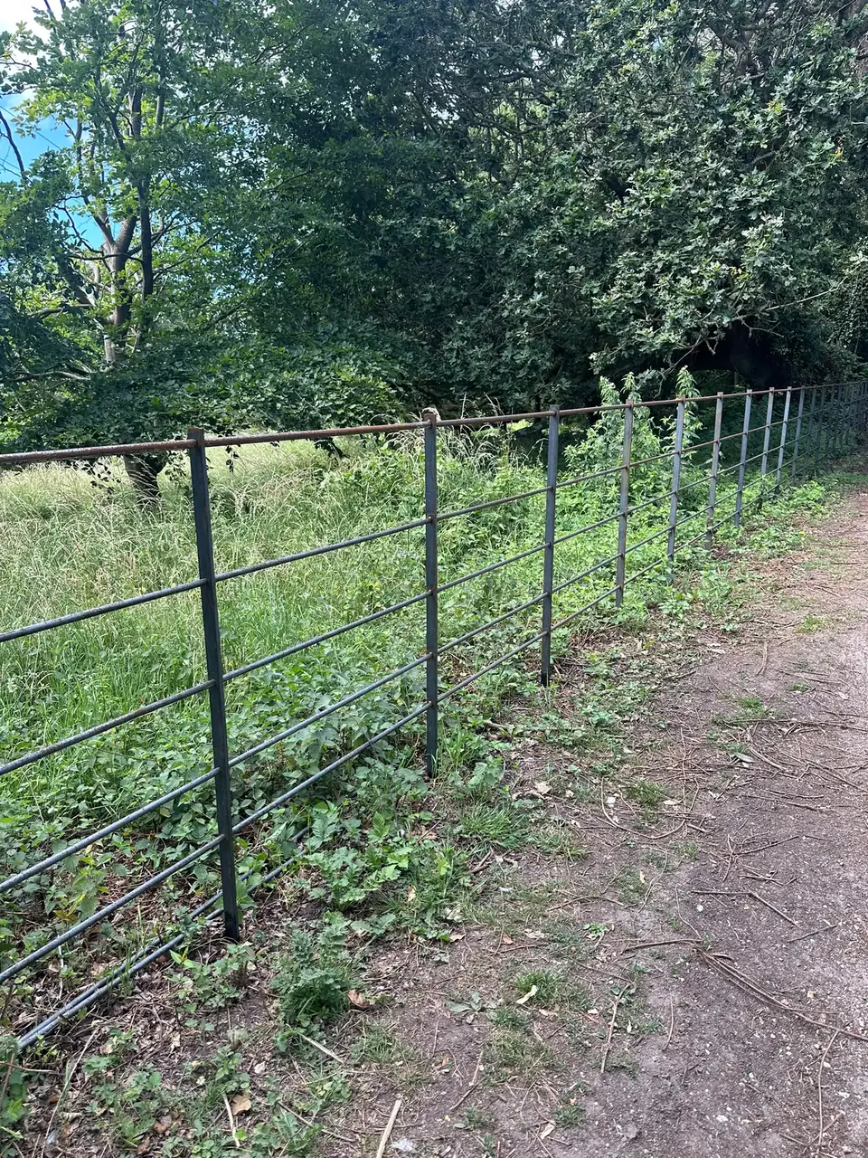 Steel estate railing marking the boundary between a lane and a wooded meadow